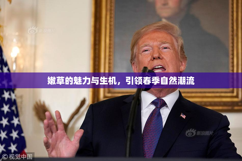 嫩草的魅力与生机，引领春季自然潮流