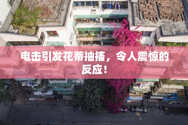 电击引发花蒂抽搐，令人震惊的反应！