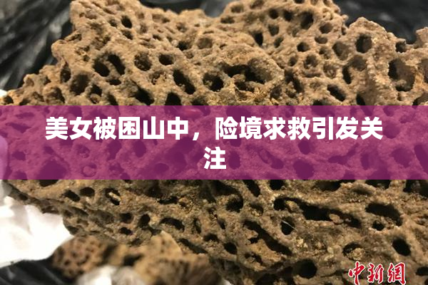 美女被困山中，险境求救引发关注