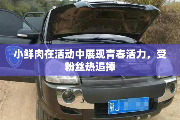 小鲜肉在活动中展现青春活力，受粉丝热追捧