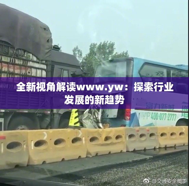 全新视角解读www.yw：探索行业发展的新趋势