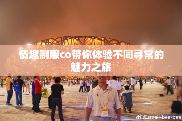 情趣制服co带你体验不同寻常的魅力之旅