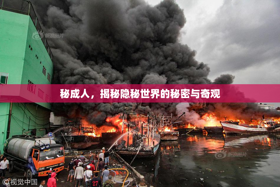 秘成人，揭秘隐秘世界的秘密与奇观