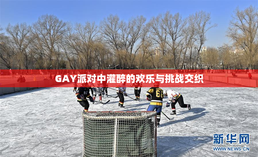 GAY派对中灌醉的欢乐与挑战交织