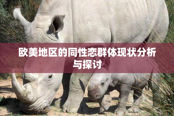 欧美地区的同性恋群体现状分析与探讨