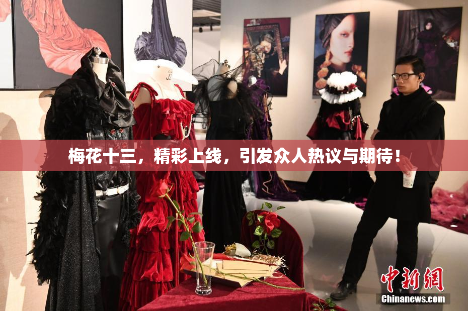 梅花十三，精彩上线，引发众人热议与期待！