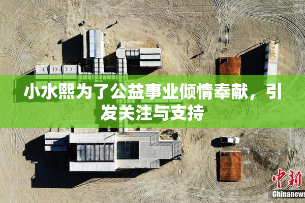 小水熙为了公益事业倾情奉献，引发关注与支持