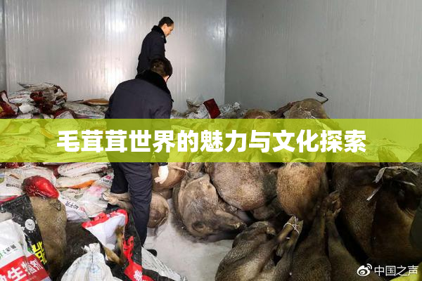 毛茸茸世界的魅力与文化探索