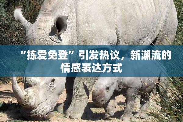 “拣爱免登”引发热议，新潮流的情感表达方式