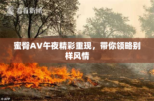 蜜臀AV午夜精彩重现，带你领略别样风情