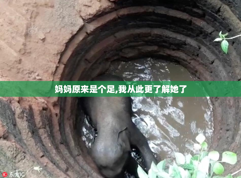 妈妈原来是个足,我从此更了解她了