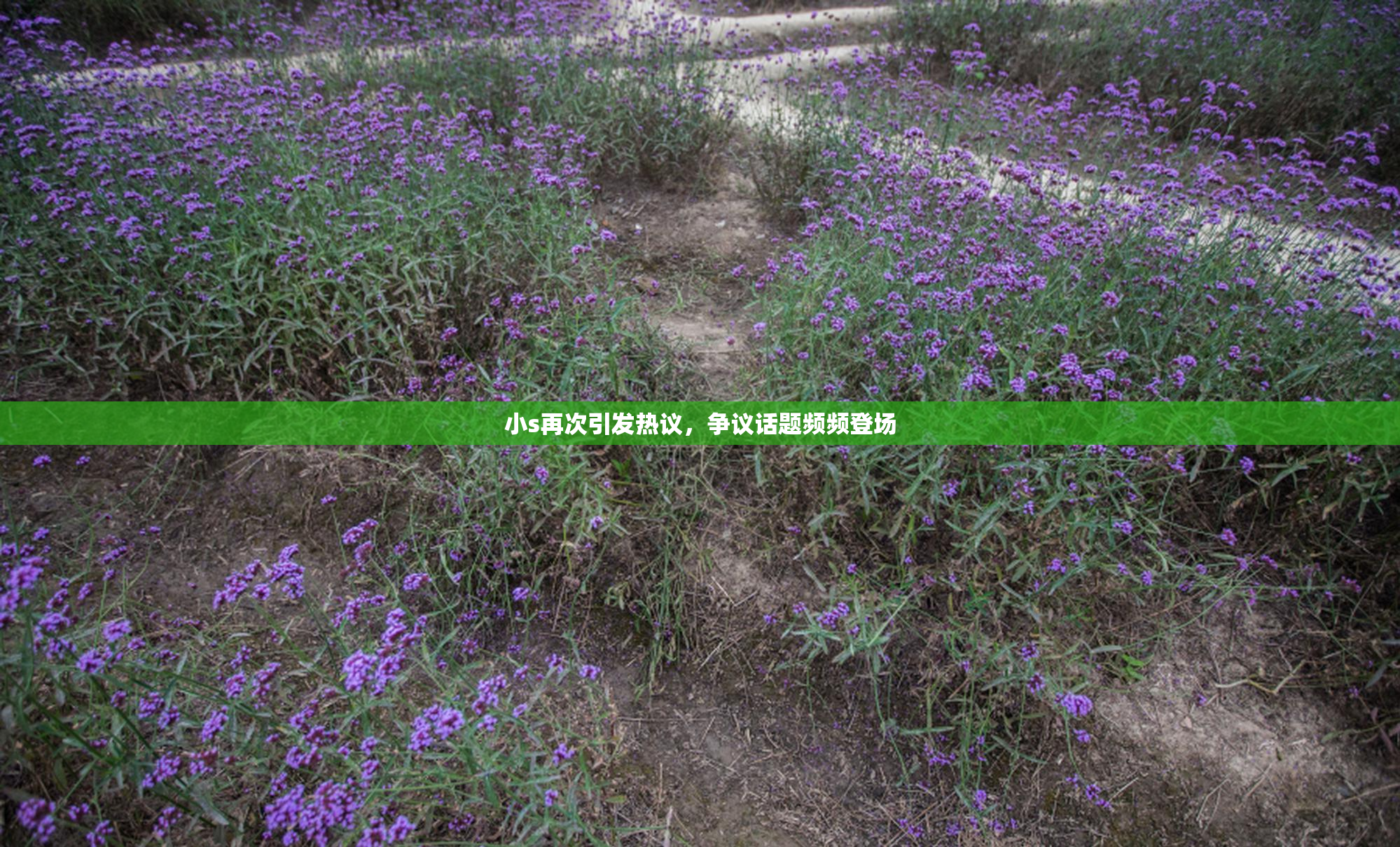 小s再次引发热议，争议话题频频登场