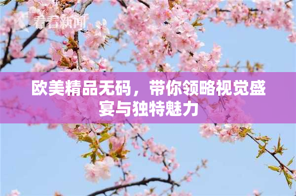 欧美精品无码，带你领略视觉盛宴与独特魅力
