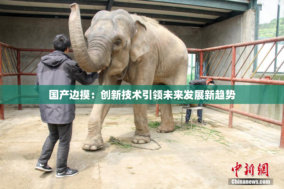 国产边摸：创新技术引领未来发展新趋势