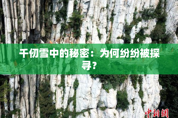 千仞雪中的秘密：为何纷纷被探寻？