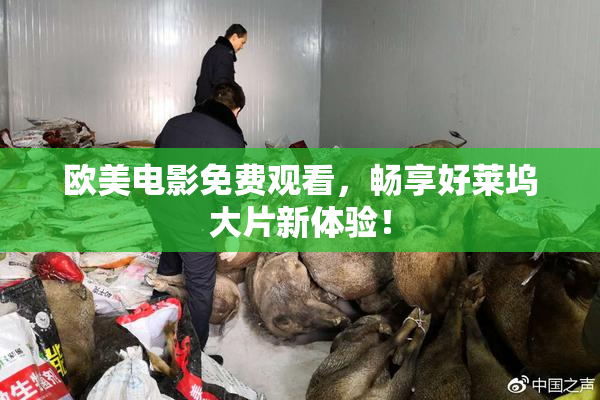 欧美电影免费观看，畅享好莱坞大片新体验！