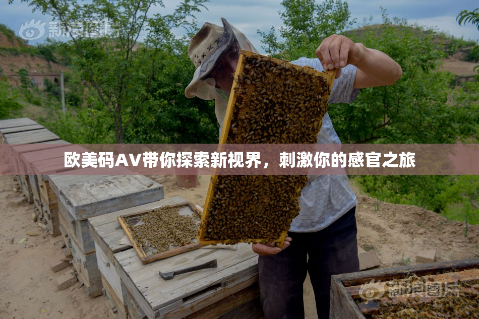 欧美码AV带你探索新视界，刺激你的感官之旅