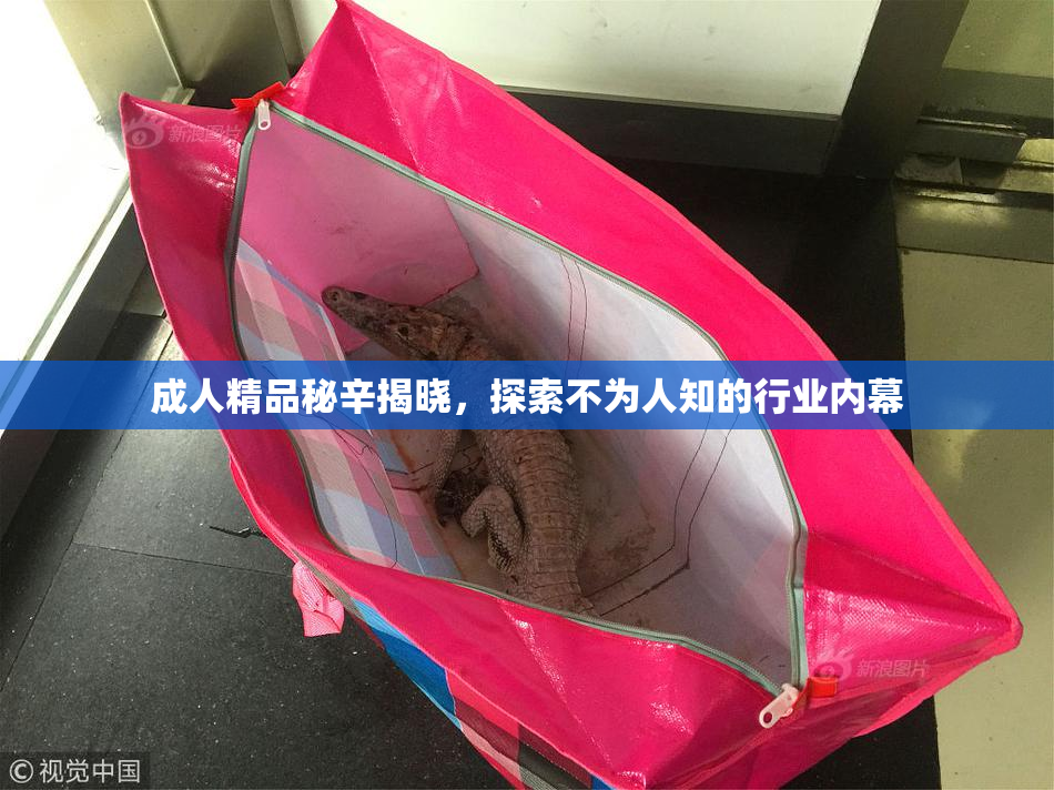 成人精品秘辛揭晓，探索不为人知的行业内幕