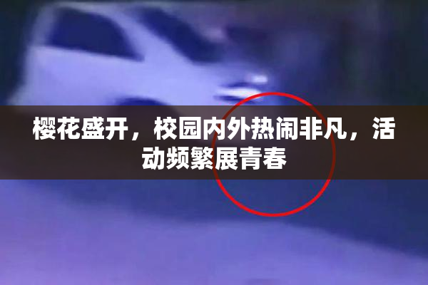 樱花盛开，校园内外热闹非凡，活动频繁展青春
