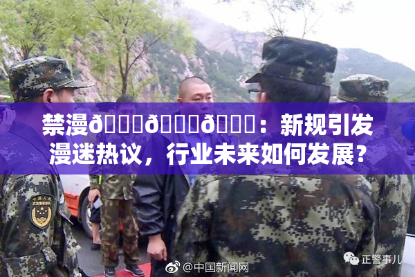 禁漫🍆🍑🔞：新规引发漫迷热议，行业未来如何发展？