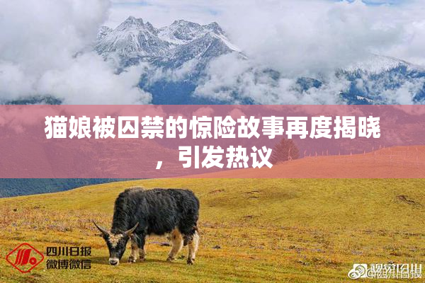 猫娘被囚禁的惊险故事再度揭晓，引发热议