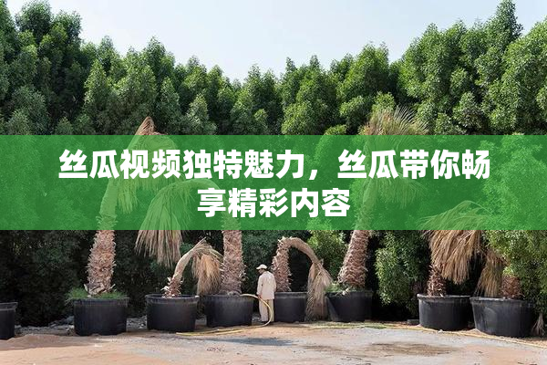 丝瓜视频独特魅力，丝瓜带你畅享精彩内容