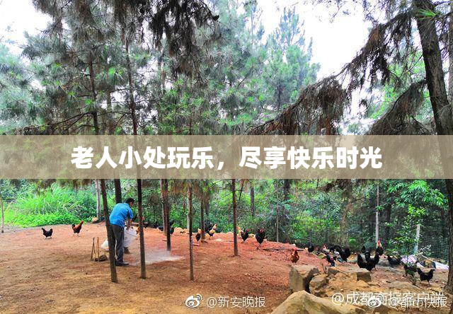 老人小处玩乐，尽享快乐时光