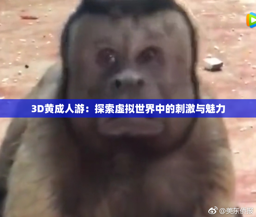 3D黄成人游：探索虚拟世界中的刺激与魅力