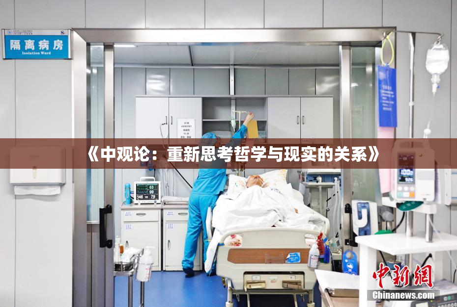 《中观论：重新思考哲学与现实的关系》