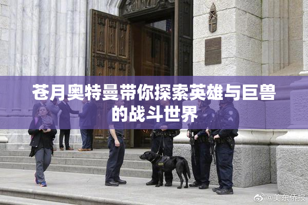 苍月奥特曼带你探索英雄与巨兽的战斗世界
