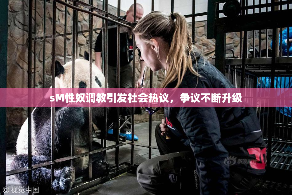 sM性奴调教引发社会热议，争议不断升级