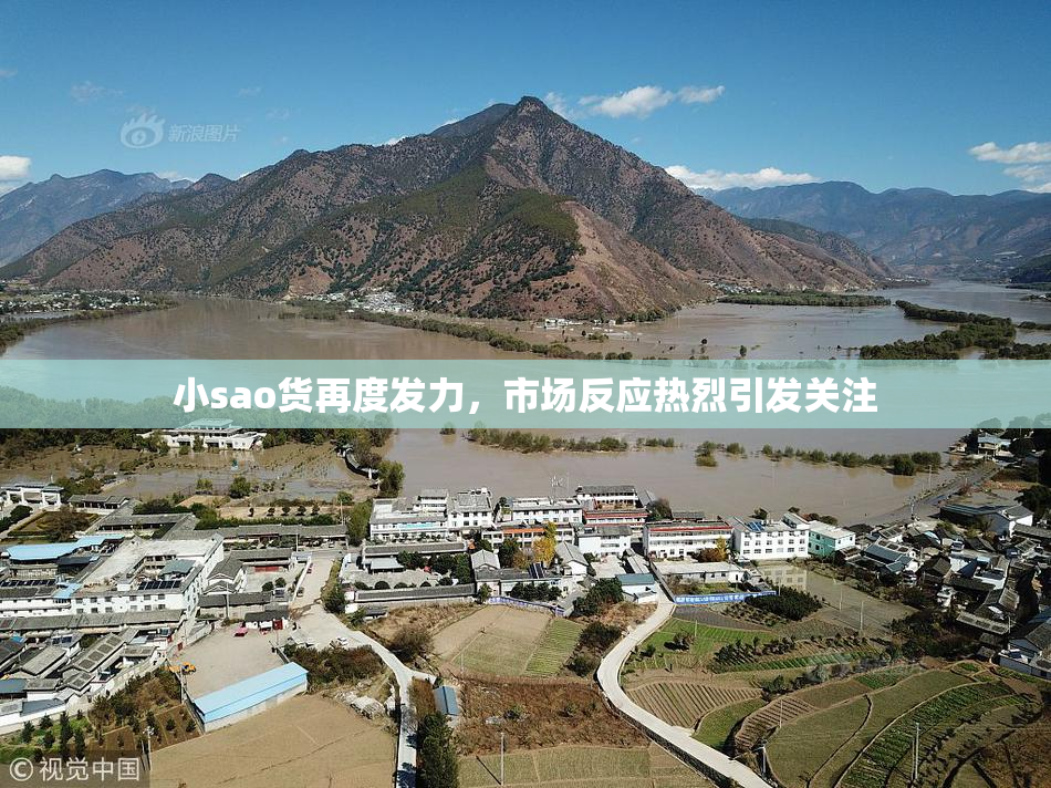 小sao货再度发力，市场反应热烈引发关注