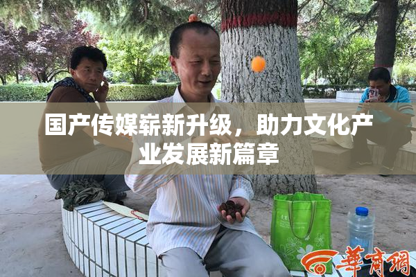 国产传媒崭新升级，助力文化产业发展新篇章