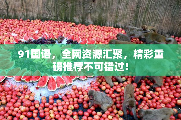 91国语，全网资源汇聚，精彩重磅推荐不可错过！