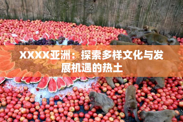 XXXX亚洲：探索多样文化与发展机遇的热土