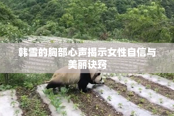 韩雪的胸部心声揭示女性自信与美丽诀窍