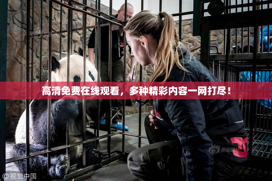 高清免费在线观看，多种精彩内容一网打尽！
