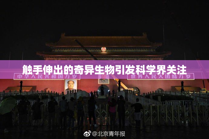 触手伸出的奇异生物引发科学界关注