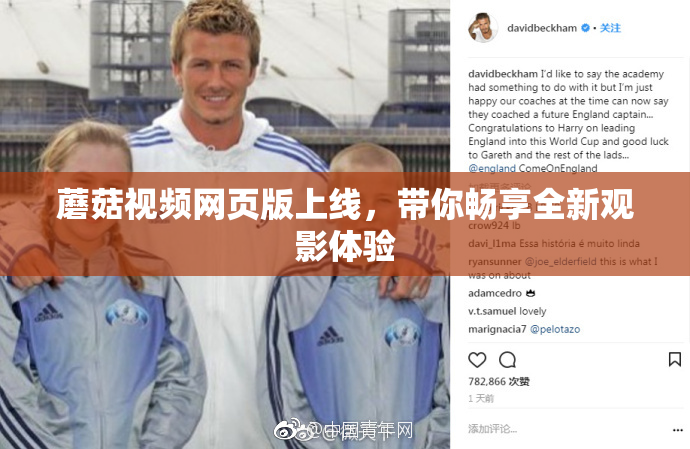 蘑菇视频网页版上线，带你畅享全新观影体验