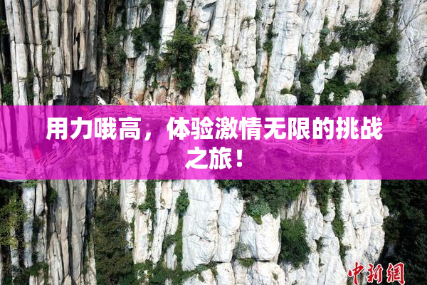 用力哦高，体验激情无限的挑战之旅！