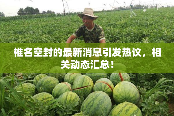 椎名空封的最新消息引发热议，相关动态汇总！