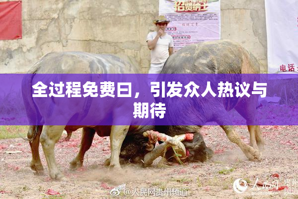 全过程免费曰，引发众人热议与期待