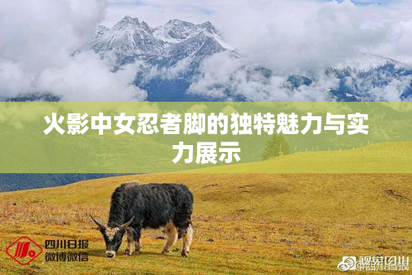 火影中女忍者脚的独特魅力与实力展示