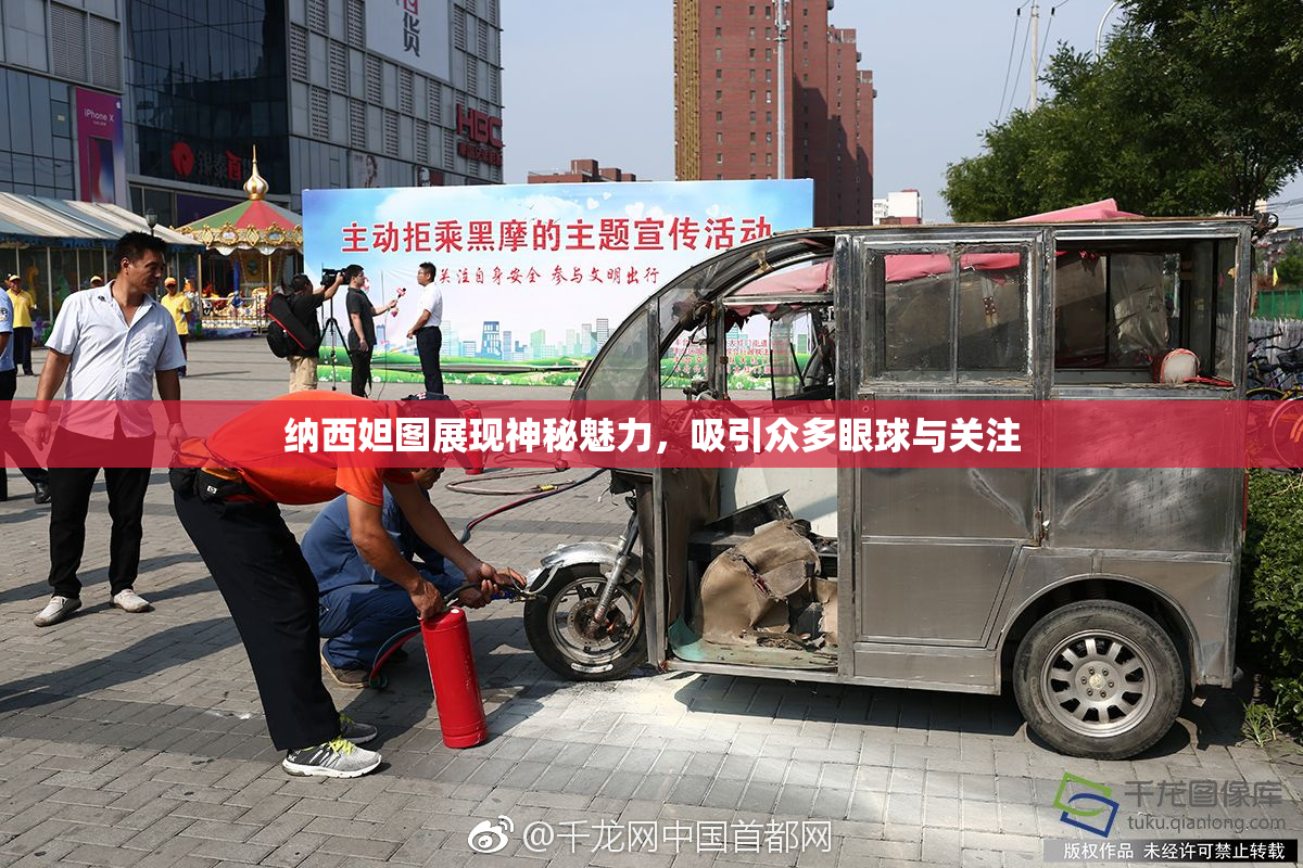纳西妲图展现神秘魅力，吸引众多眼球与关注