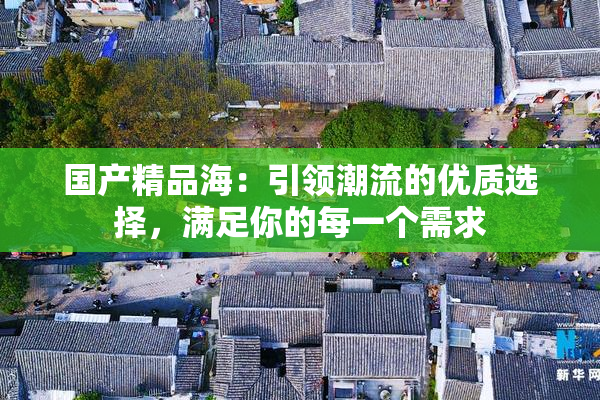 国产精品海：引领潮流的优质选择，满足你的每一个需求