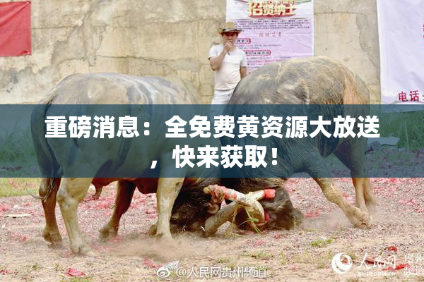 重磅消息：全免费黄资源大放送，快来获取！