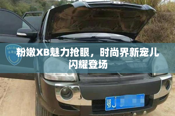 粉嫩XB魅力抢眼，时尚界新宠儿闪耀登场