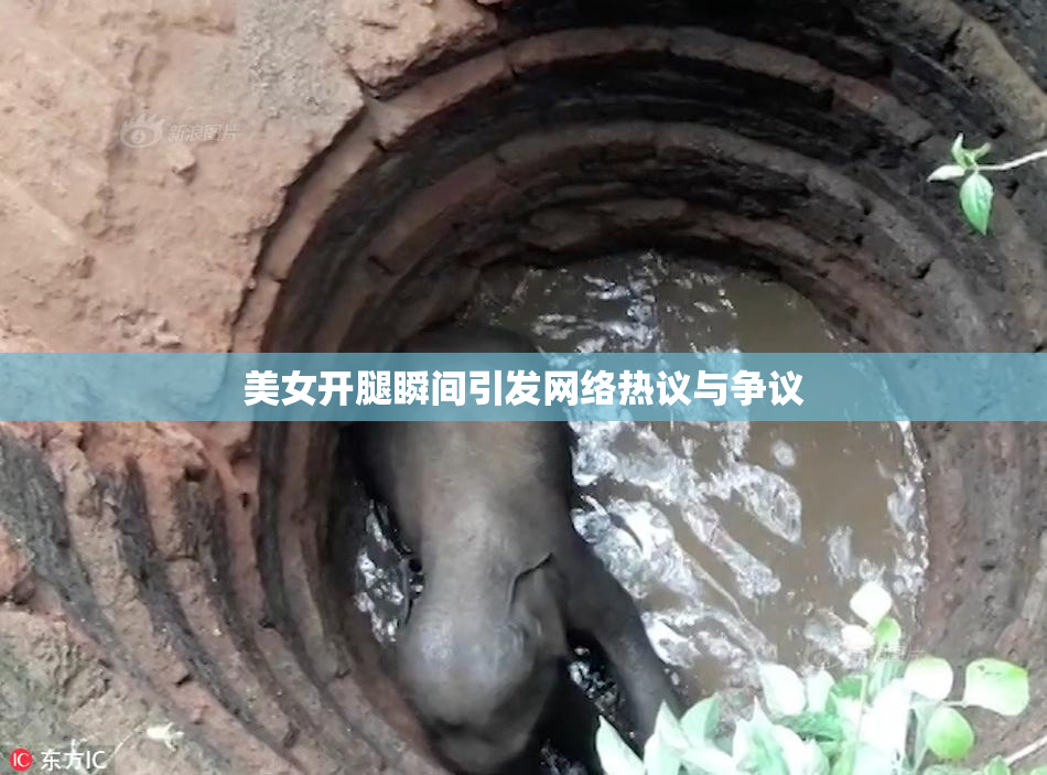 美女开腿瞬间引发网络热议与争议