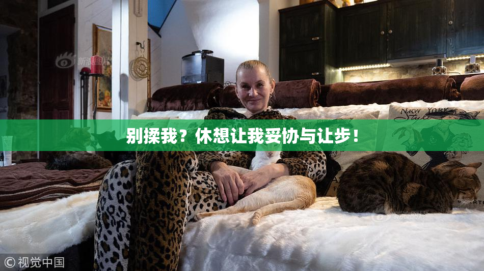 别揉我？休想让我妥协与让步！
