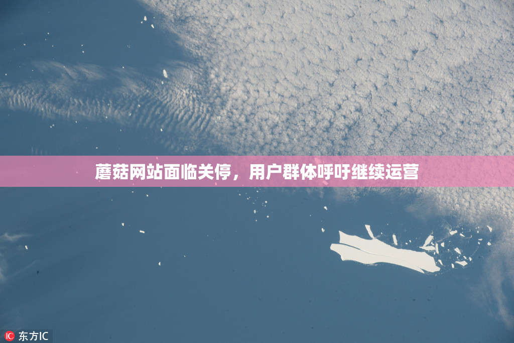 蘑菇网站面临关停，用户群体呼吁继续运营